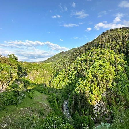 Green Mountain Borjomi Exteriör bild