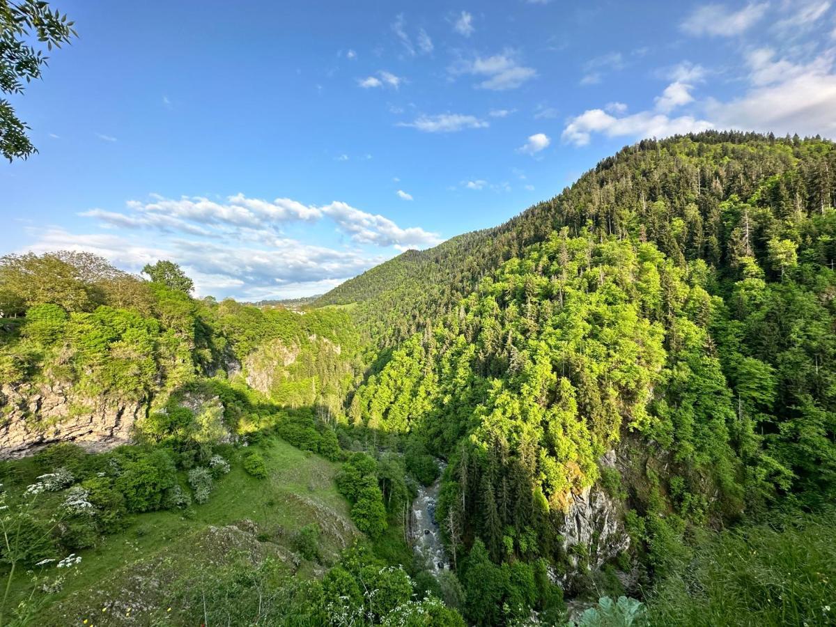 Green Mountain Borjomi Exteriör bild