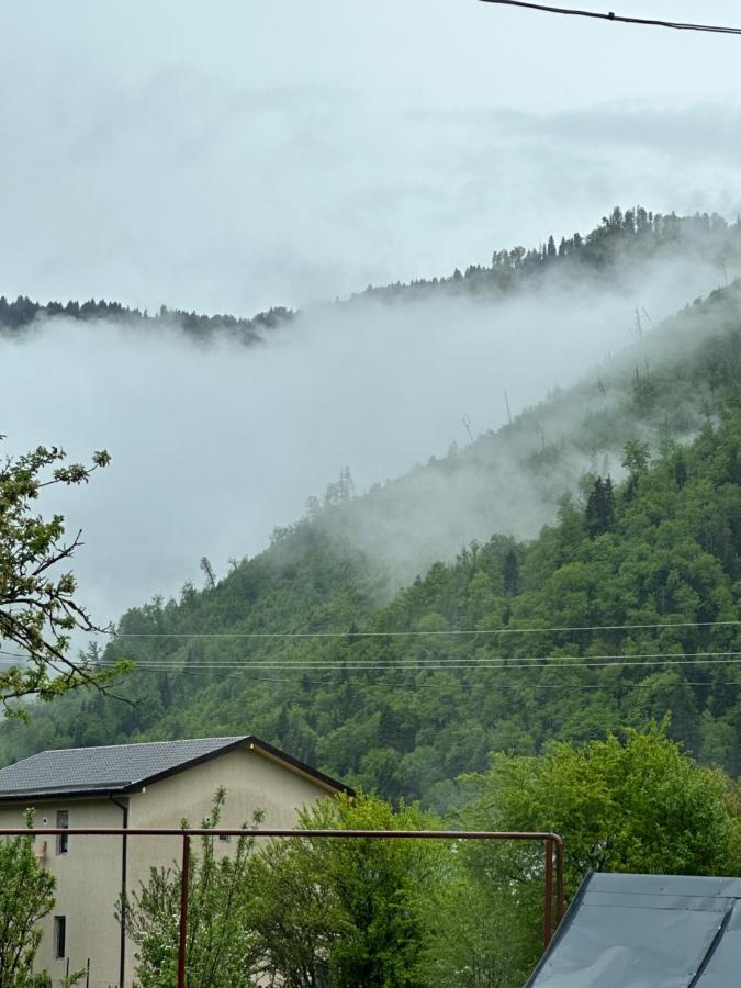 Green Mountain Borjomi Exteriör bild